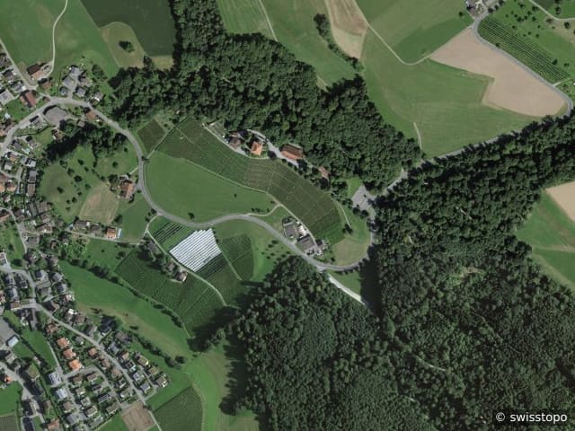 Luftbild: das Gebiet