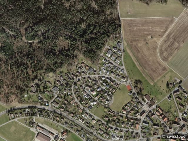 Luftbild Wermatswil