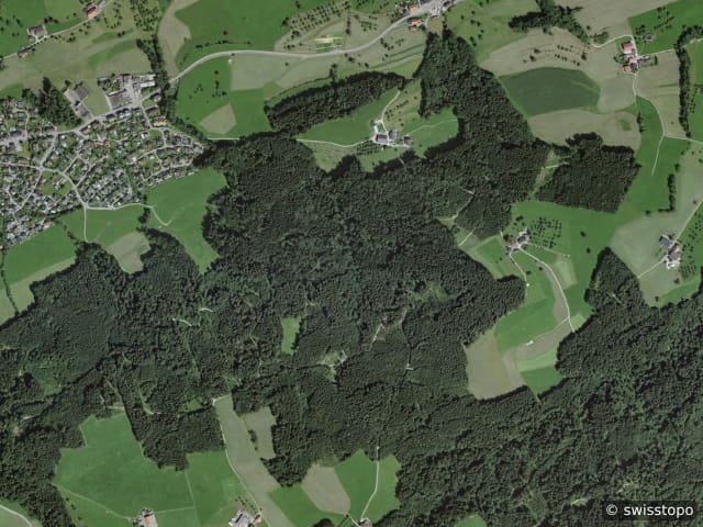 Luftbild Waldkirch