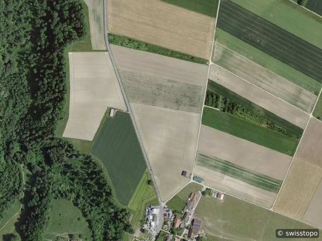 Luftbild Sur