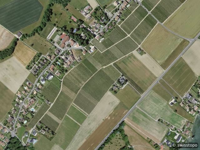 Luftbild Dully