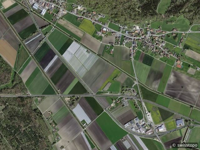 Luftbild Gampelen