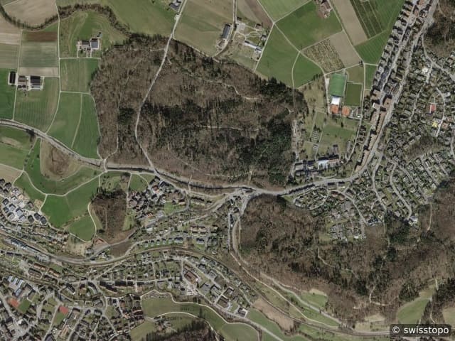 Luftbild Birmensdorf