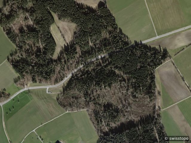 Luftbild Feldblumenweg 13, Kappel am Albis