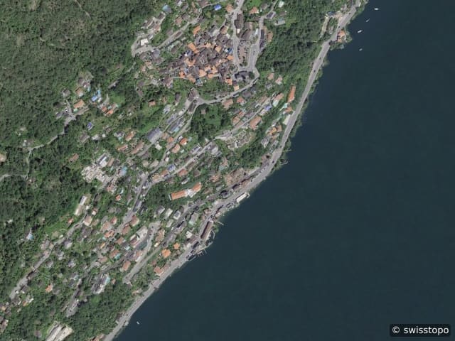 Luftbild Ronco sopra Ascona