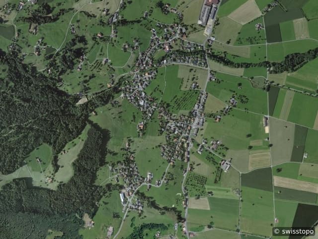 Luftbild Hinterforst