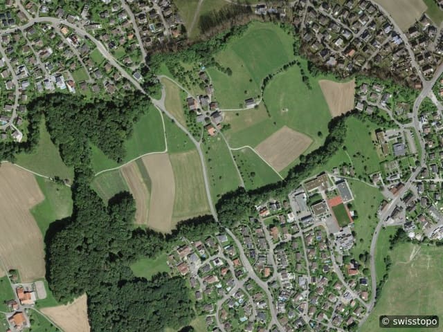 Luftbild Bergdietikon