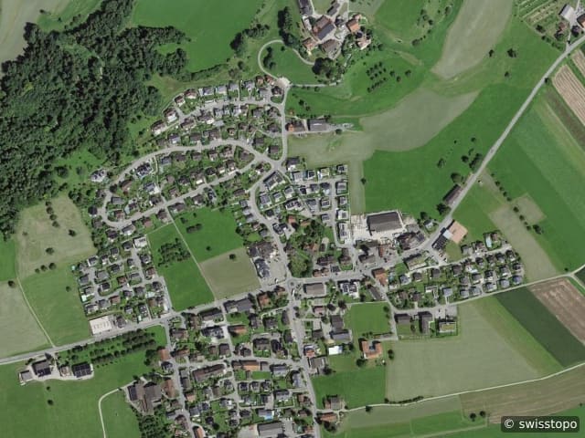 Luftbild Zucken­riet