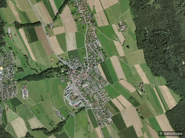 Luftbild Bellikon