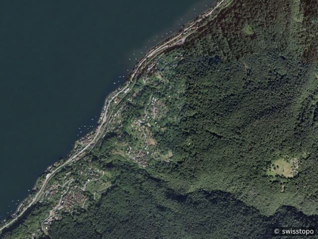 Aerial view: the area