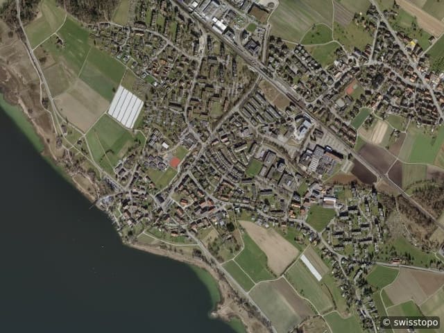 Luftbild Greifensee