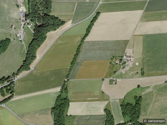 Luftbild Begnins