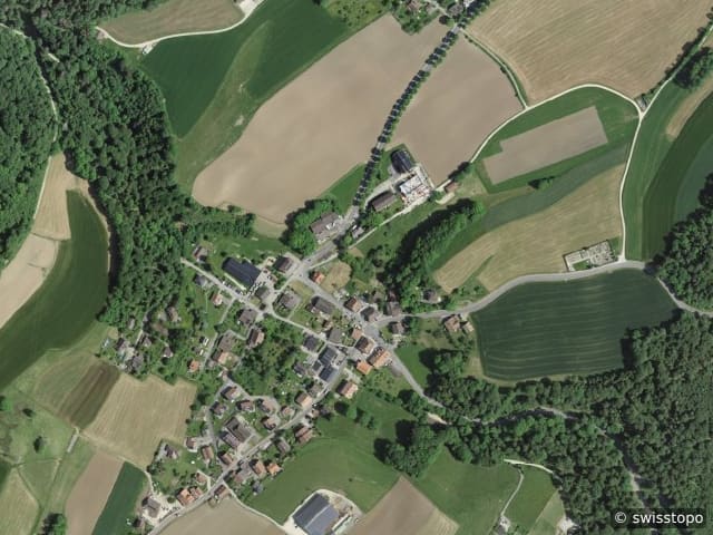 Luftbild Weggis