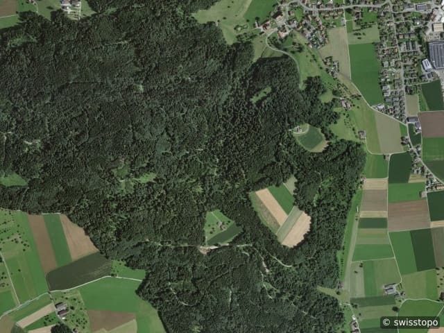 Luftbild Altishofen