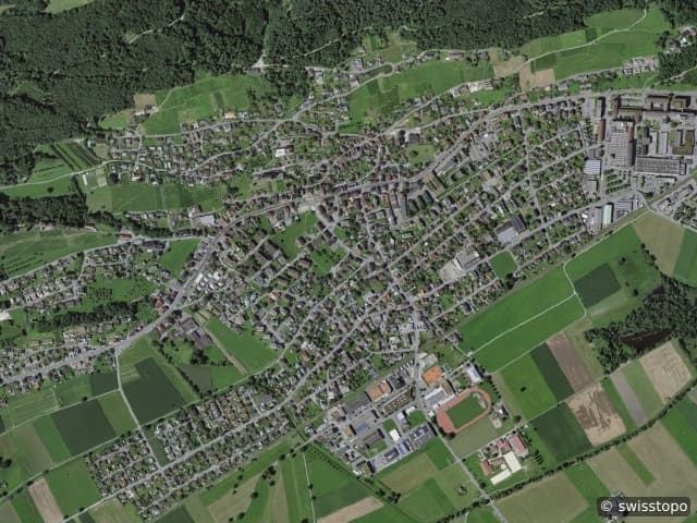 Luftbild Balgach