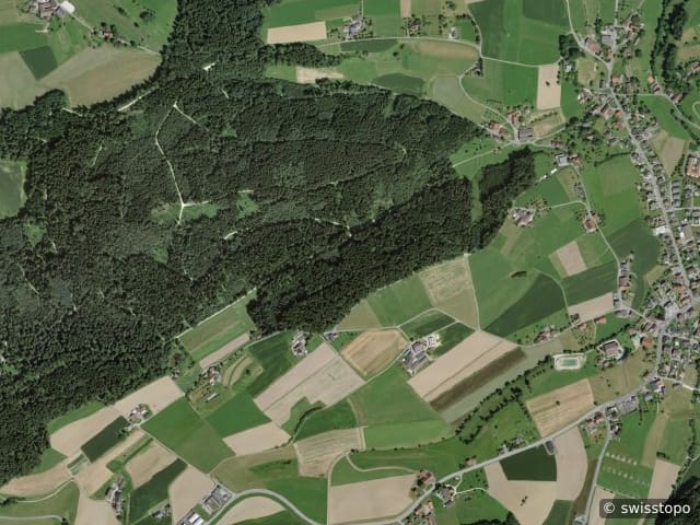 Luftbild: das Gebiet