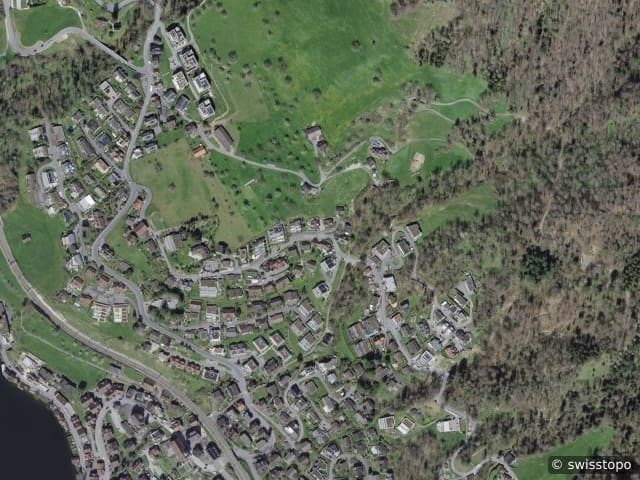 Luftbild Walchwil