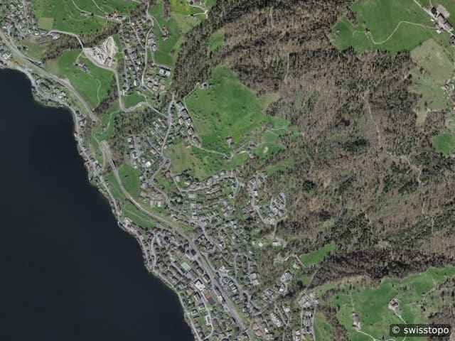 Luftbild Walchwil